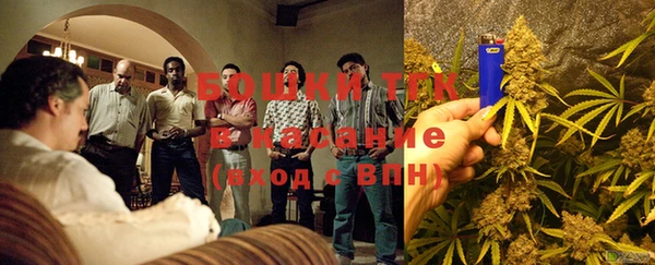 тгк Михайлов